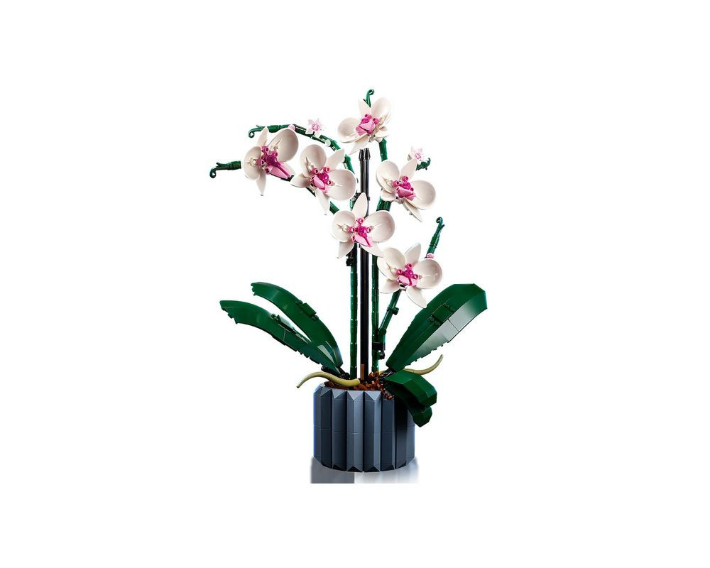 Orchid 10311 Brick Building Kit
