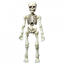 Pose Skeleton Man by Re-Ment