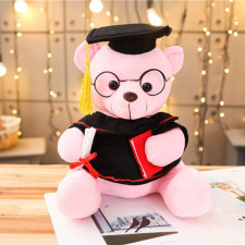Graduation Bear Soft Stuffed Plush Pink