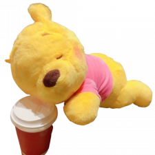 Sleeping Winnie The Pooh Plush Toy