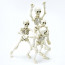 Pose Skeleton Man by Re-Ment
