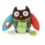 Skip Hop Hug & Hide Activity Toys-Owl
