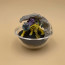 Re-ment Pokemon Terrarium Collection 7 Box Set of 6