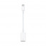 Apple USB-C to USB Adapter USB adapter