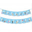 Bluey and Friends Birthday Party Decoration Mega Pack Theme