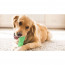 Bristly Dog Toothbrush - Large