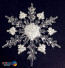 Elegant Christmas Tree Ornaments - 4-6 Inch Snowflake 11-16cm