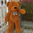 Valentine's Day Teddy Bear Plush - Teddy Bear For Valentine's Day Gift Plush