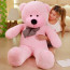Valentine's Day Teddy Bear Plush - Teddy Bear For Valentine's Day Gift Plush