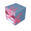 Minecraft Magnetic Charged Vex Blocks Kit Toy 3 Pcs Set