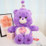 Care Bears Classic Share Bear Birthday Plush Toy