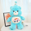 Care Bears Heartsong Bear Plush Toy