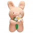 Shy Rabbit Cute Plush Toy