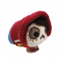Miguel From Coco Plush Toy