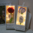 Knitted Carnation Flower With LED Mother's Day Graduation Gift In Clear Box 27cm 10.62inches Pink Red Purple