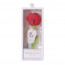 Knitted Carnation Flower With LED Mother's Day Graduation Gift In Clear Box 27cm 10.62inches Pink Red Purple