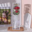 Carnation Flower Bouquet Multi Color Mother's Day Graduation Gift In Clear Box 32cm 12.6inches Pink Purple Cream Red