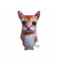 El Gato Meme Cat Soft Stuffed Plush 21cm 8.27inches