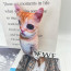 El Gato Meme Cat Soft Stuffed Plush 21cm 8.27inches