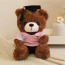 Dark Brown Graduation Bear in Polo Shirt Soft Stuffed Plush 23cm 9 inches Blue Pink Orange Yellow Green