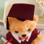 Light Brown Graduation Bear with Robe Soft Stuffed Plush 25cm 9.84inches Blue Black Red