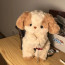 Cavalier King Charles Spaniel Plush Toy 30cm 11.8inches