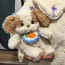 Cavalier King Charles Spaniel With Bib Plush Toy 30cm 11.8inches
