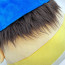 Thicc Jeffy Soft Stuffed Plush 28cm 11.02inches