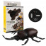 Infrared Remote Control Giant Beetle Prank