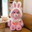 Care Bears Love-a-Lot Bear Plush Toy