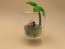 Peanuts Snoopy and Woodstock Everyday Terrarium 6 Pack Box