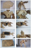 DIY Solar Kits Robot Warrior