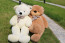 Giant Teddy Bear 2.5 feet (80cm) Stuffed Teddy Bear Soft Plush